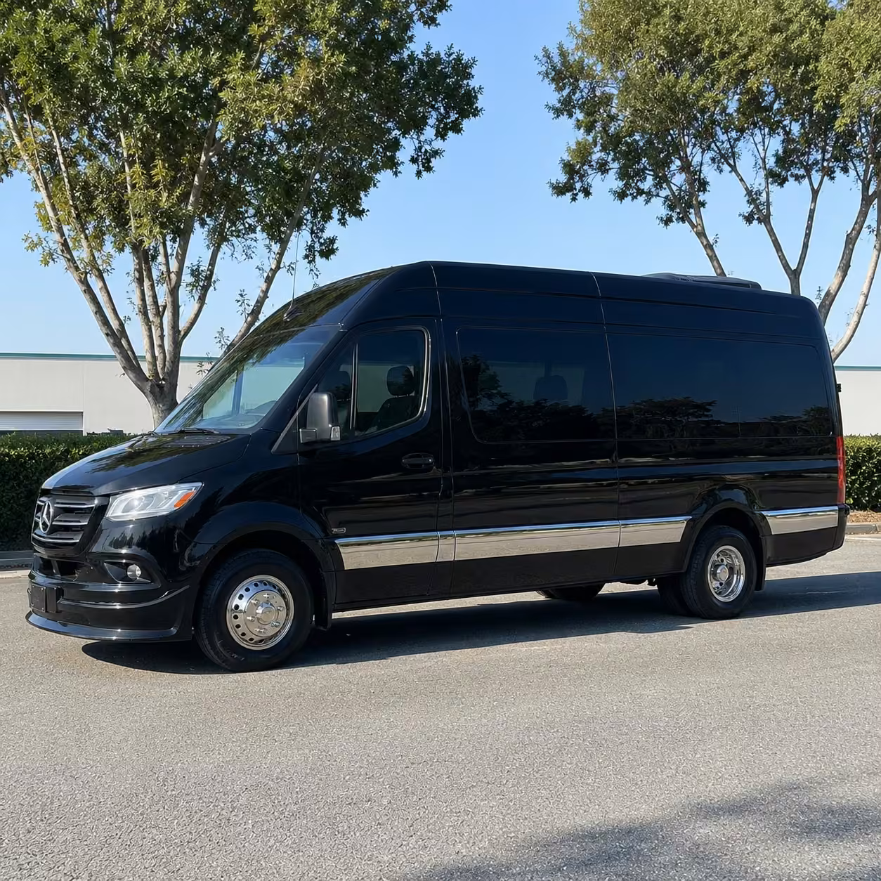 14 passenger sprinter limousine